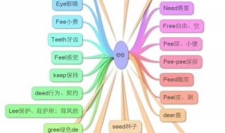 四年级英语易错知识点总结